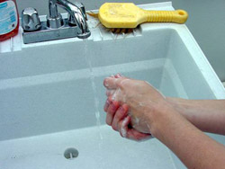 Hands washing in sink
